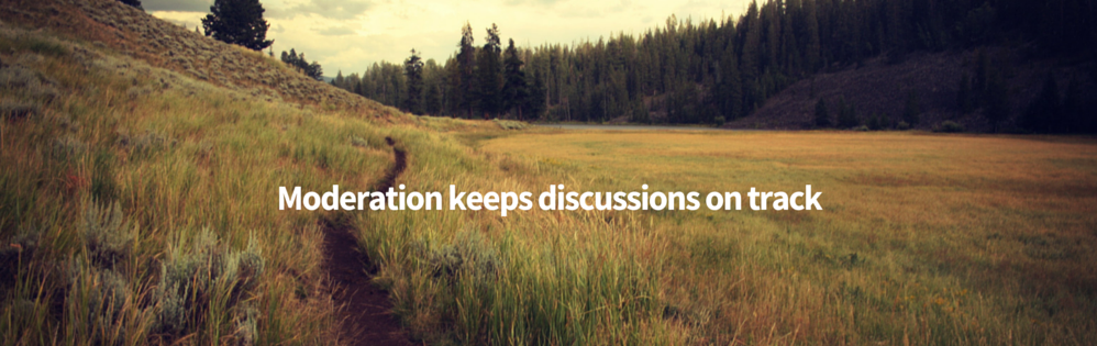 Moderation keeps discussion on track. grassy fields and path